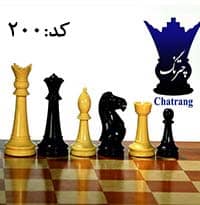 مهره شطرنج فدراسیونی